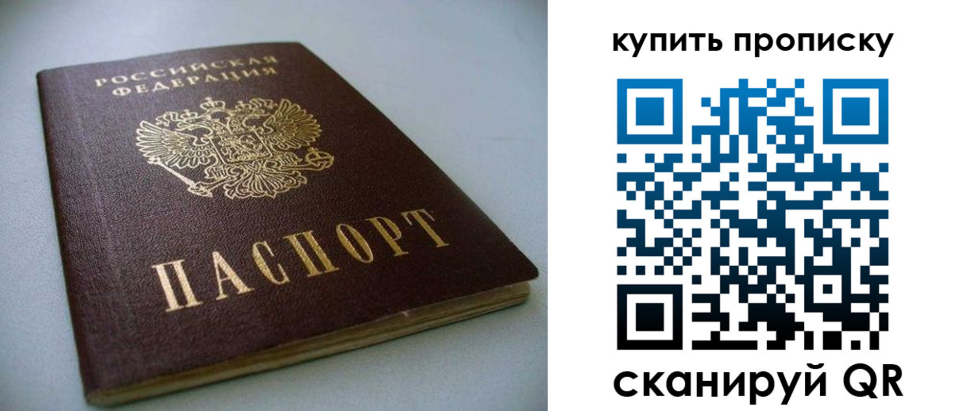 прописка поиск в Саранске